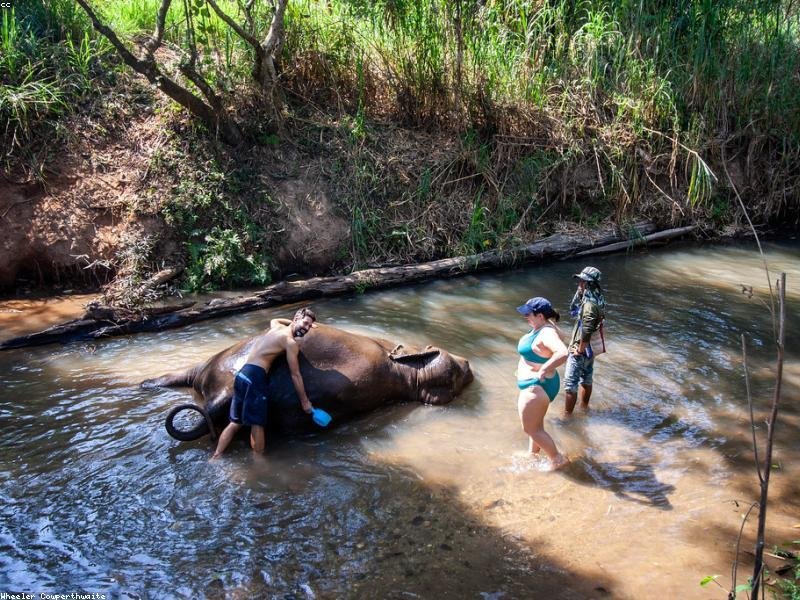 Elephant Sanctuary